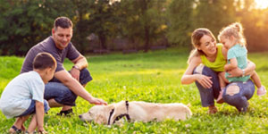 A young couple and their two young children play in the park with their dog, knowing their Value Whole Life Insurance is there to protect their family’s financial security. A young couple and their two young children play in the park with their dog, knowing their Value Whole Life Insurance is there to protect their family’s financial security.